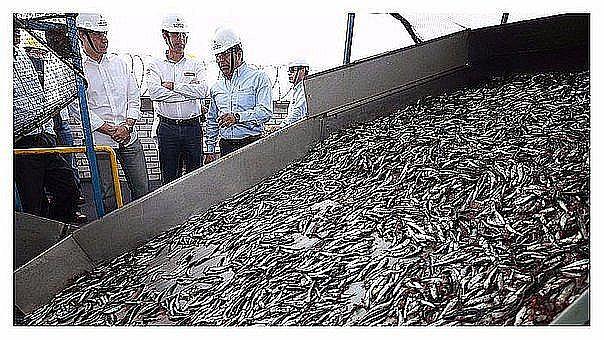 Empresas pesqueras disconformes con alza del derecho de pesca