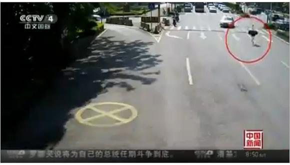 Avestruz compite con carros en autopista de China (VIDEO)
