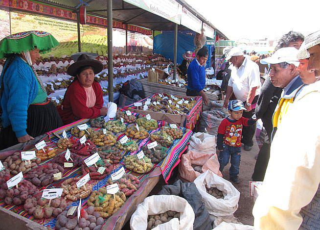 Desarrollan festival de productos agropecuarios 'Paruro para el Cusco'