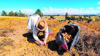 Restricciones al ingreso de alimentos provocará alza de precios