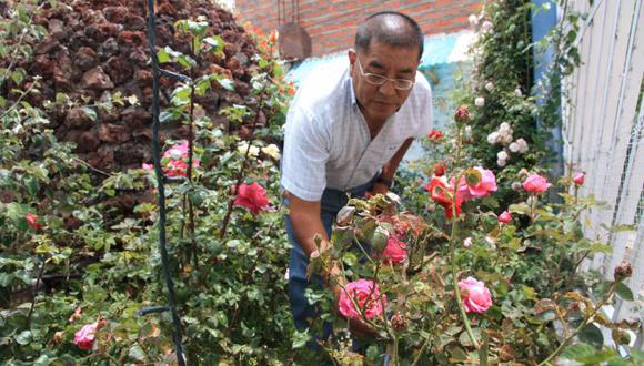Puno: Cultiva 90 variedades de rosas en su jardín