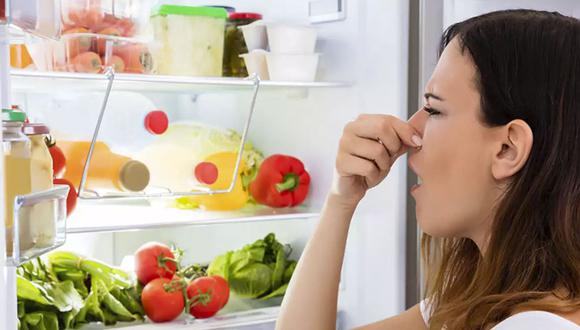 ¿Cómo eliminar el mal olor del refrigerador? (Foto: Pixabay)