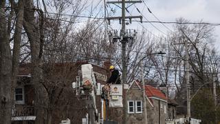 Cientos de miles de hogares sin electricidad en este de Canadá tras tormenta de hielo