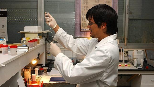 Argentina: Iglesia católica cuestiona proyecto sobre reproducción asistida