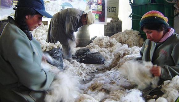 Italia desplaza a China como primer destino de fibra de alpaca peruana