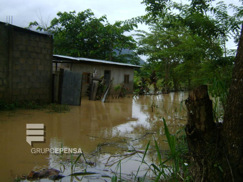 Desbordes e inundaciones no cesan en la Selva Central 