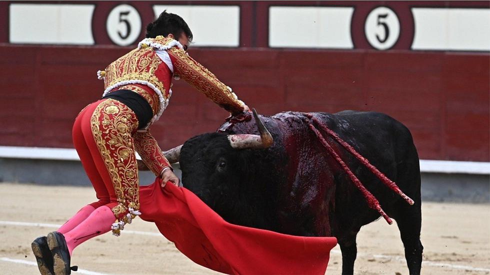 Torero español queda grave tras sufrir tremenda cornada en la ingle