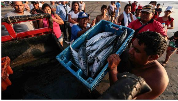 Pesca: Exportaciones crecieron 30% entre enero y abril