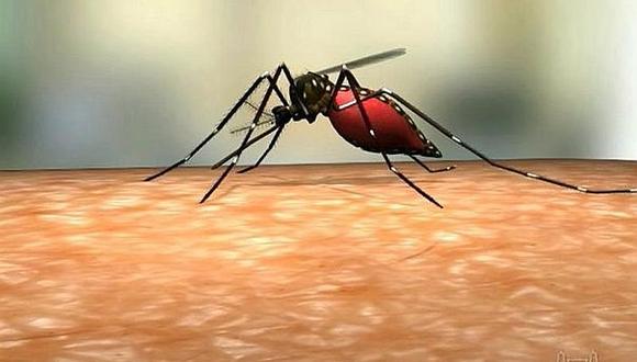 Hay 46 casos probables de dengue en Paiján 
