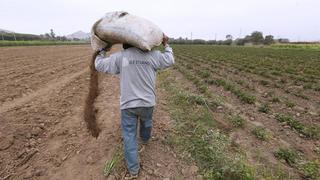 Midagri entrega fertilizantes para pequeños productores de Andahuaylas