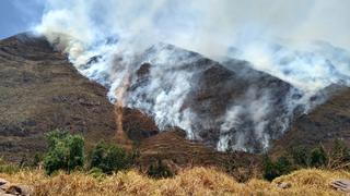 Menor de 11 años muere cuando ayudaba a sofocar incendio forestal en Ollantaytambo, Cusco