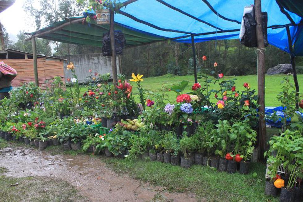 Conozca Miraflores, el nuevo emporio turístico en Huancayo (FOTOS)