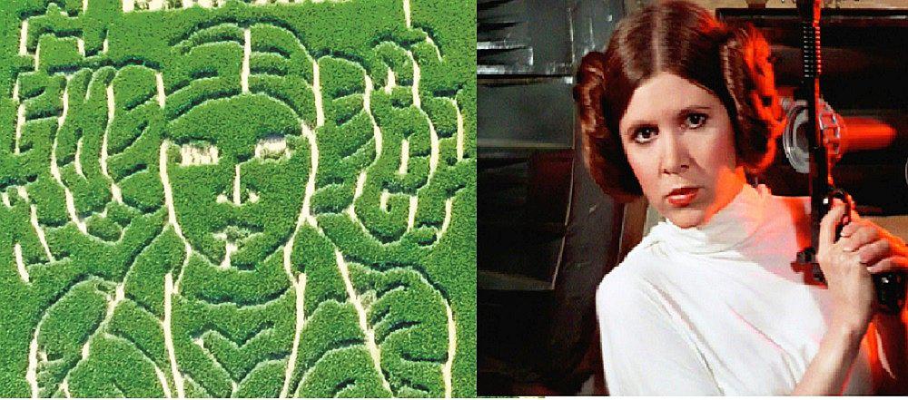 Star Wars: ​Crean laberinto gigante con rostro de princesa Leia 