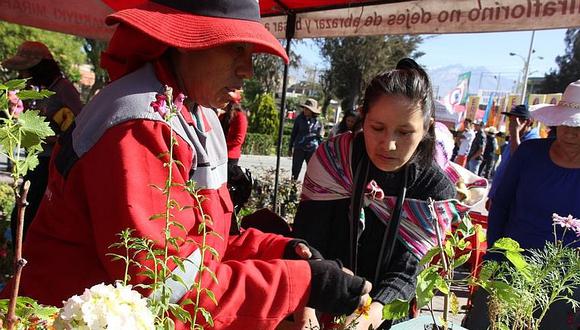 Dos mil plantones de árboles y flores fueron vendidos en Miraflores