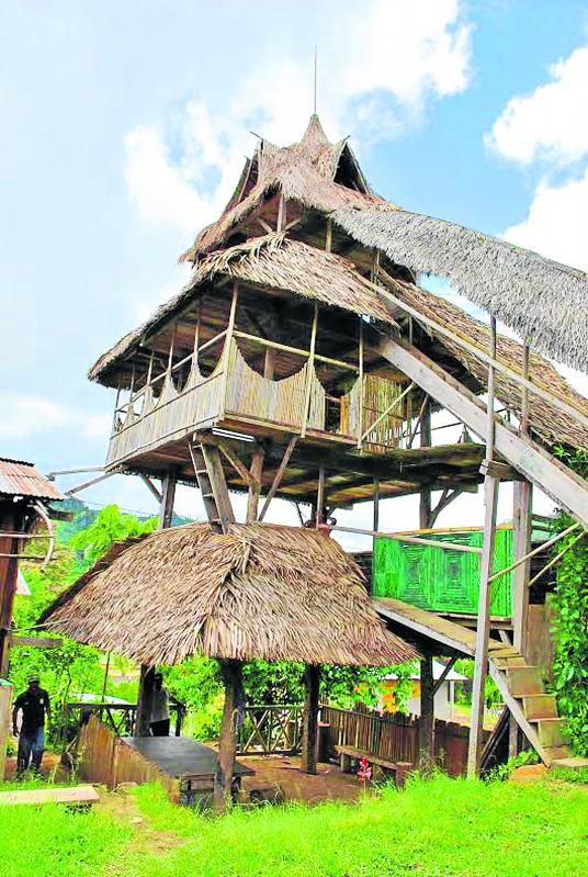 Selva Central: Turistas vivirán  una aventura en La casa de Tarzán