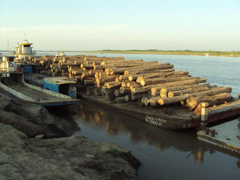 Ucayali: Decomisan 3500 metros cúbicos de madera de presunto origen ilegal