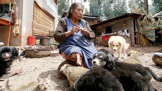 ​Anciana pasó su vida alimentando perritos de la calle y ahora no tiene qué comer (VIDEO)