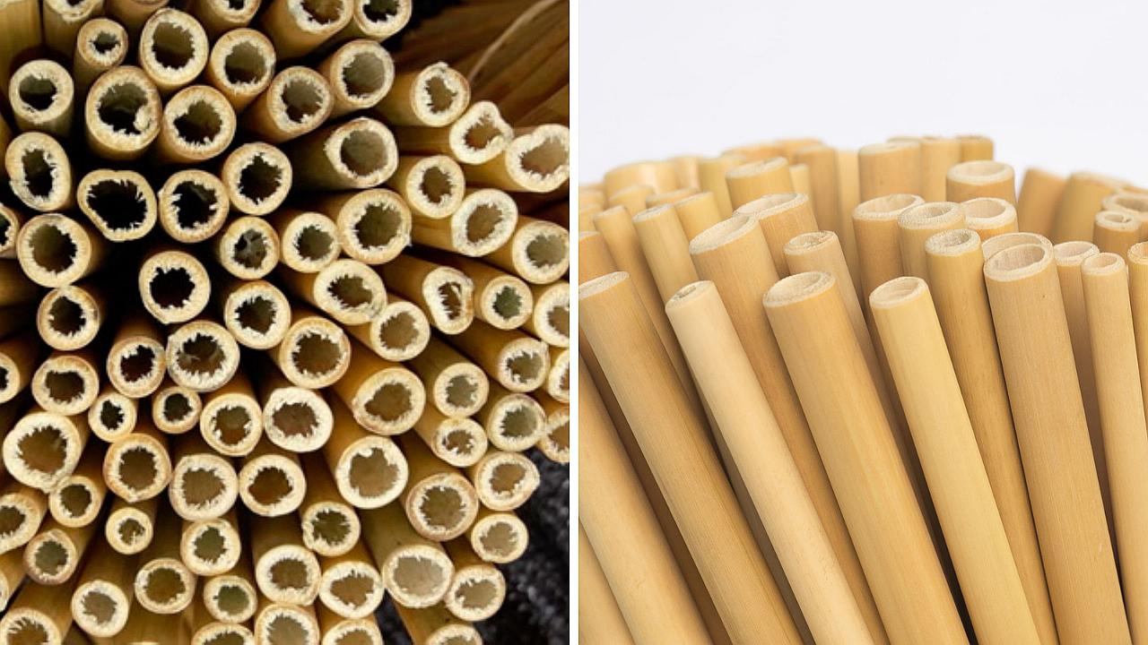 Huánuco: Agricultores apuestan en proyecto de elaboración de cañitas biodegradables de bambú