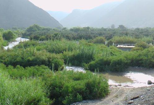 ​​Crecida del Río Osmore desata emergencia en Ilo