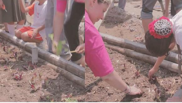 Salud: Escolares comprometidos con la buena alimentación instalan huerto en colegio (VIDEO)