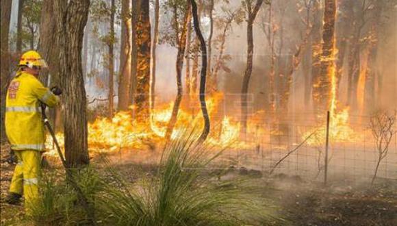 Australia: 300 incendios arrasan el sur en medio de una ola de calor