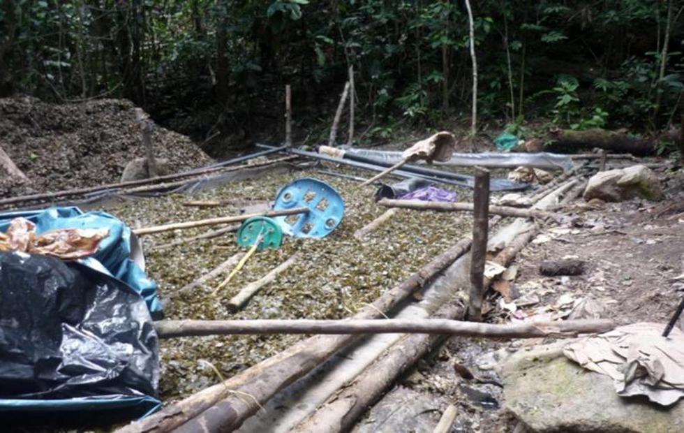 Policía destruyen un laboratorio de droga en Aucayacu