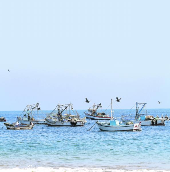 Mejor pesca para la región