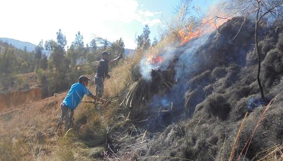​Con ramas y palos serenos apagan un incendio forestal (VIDEO)