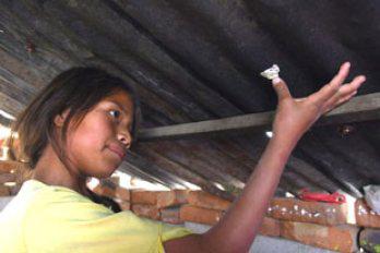 Chicle para tapar el hueco