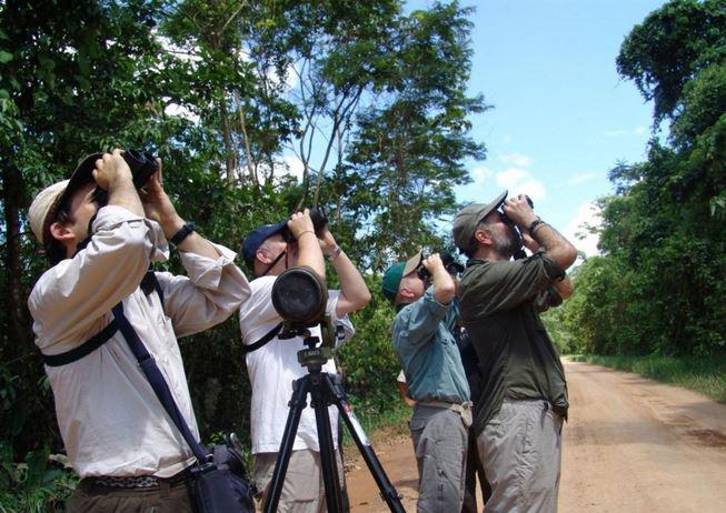 Perú lidera avistamiento de aves en concurso Global Big Day
