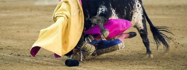 Youtube: Torero queda grave tras sufrir brutal corneada 