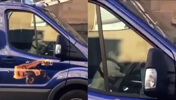 Perrito encerrado en un vehículo toca el claxon para llamar a su dueño (VIDEO)