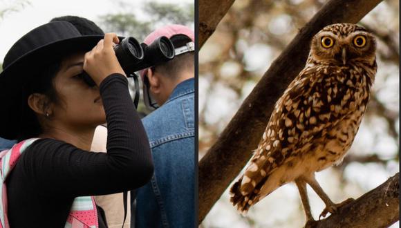 Identifican 34 especies de aves en la Udep durante avistamiento de aves en el Global Big Day 2023
