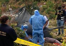 Feminicidio en Casma: cadáver de regidora es hallado en una chacra