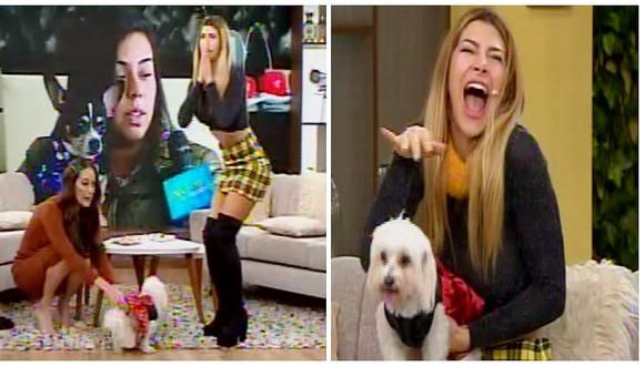 Mascota de Xoana González protagoniza peculiar incidente en pleno programa (VIDEO)