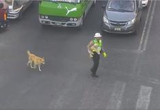PNP felicita a agente que ayudó y alimentó a perros callejeros en Tacna