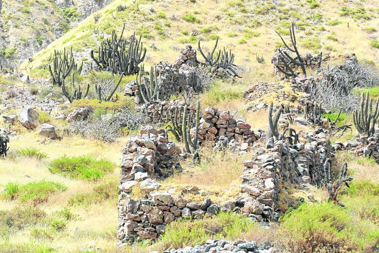 Arequipa: Ciudadela Wari en completo abandono