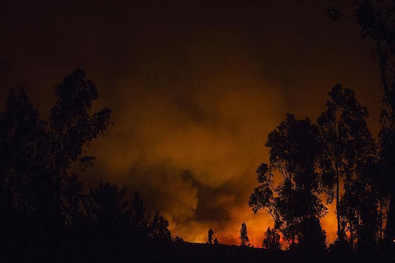 ​Chile pide ayuda internacional para combatir incendios forestales