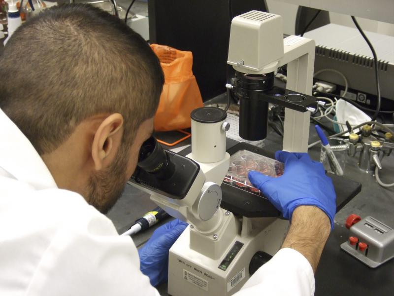 OMS probará vacuna contra el ébola fabricada en Canadá