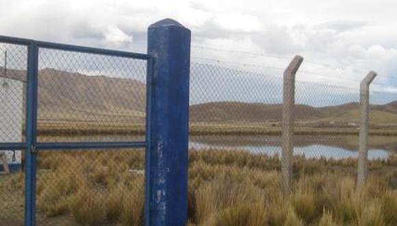 Sembrarán totora para contrarrestar olores de lagunas de oxidación