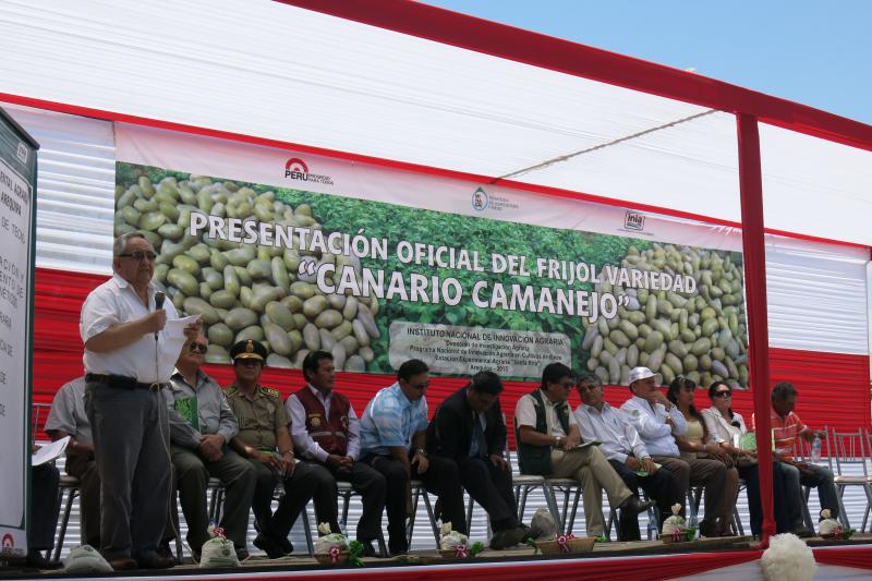 Recuperan gen del poroto camanejo