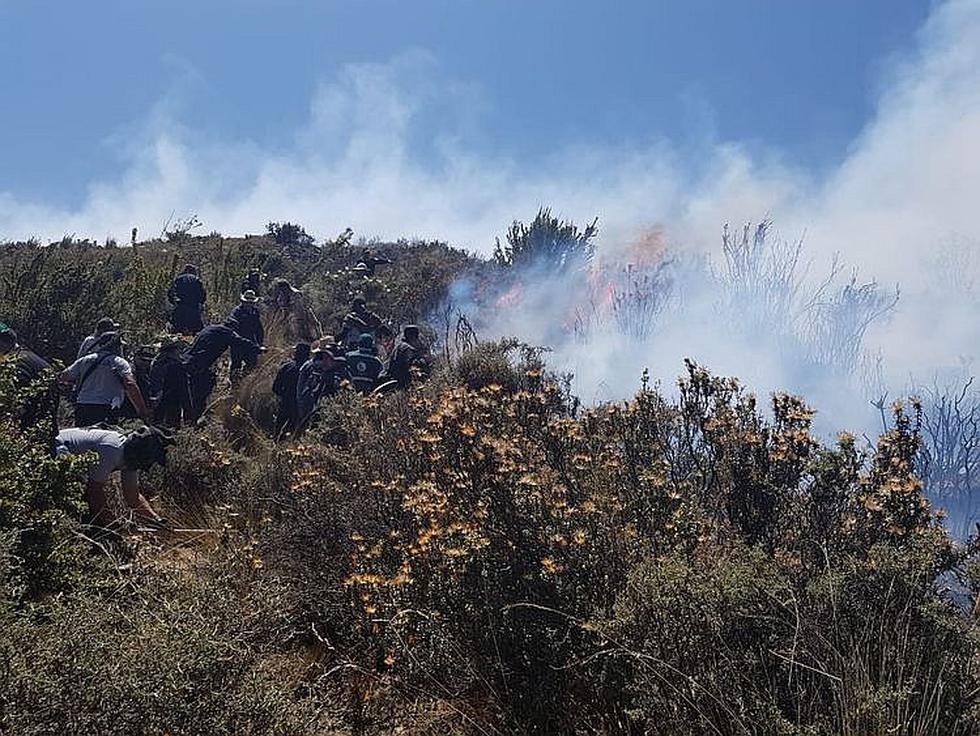 Incendio llegó al Bosque de los Queñuales en el volcán Pichu Pichu (FOTOS)