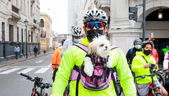 Este domingo 31 de octubre la Municipalidad de Lima organizará diferentes actividades gratuitas en 68 manzanas del Centro Histórico en la que los ciclistas pueden llevar a sus mascotas. (Municipalidad de Lima)