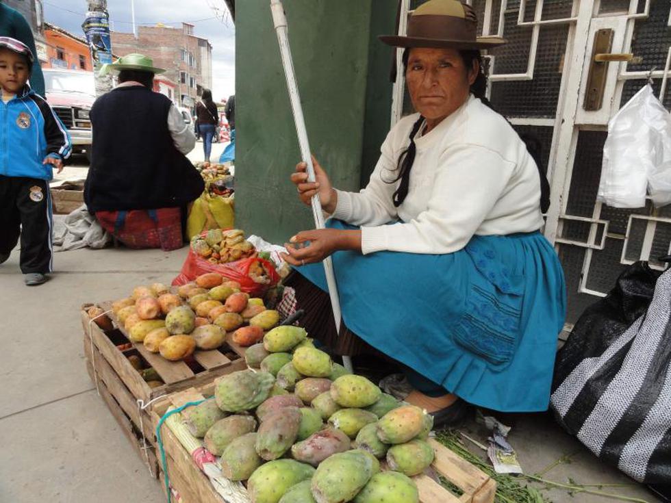 La Tuna: la fruta que pasó del suelo al cielo (FOTOS)