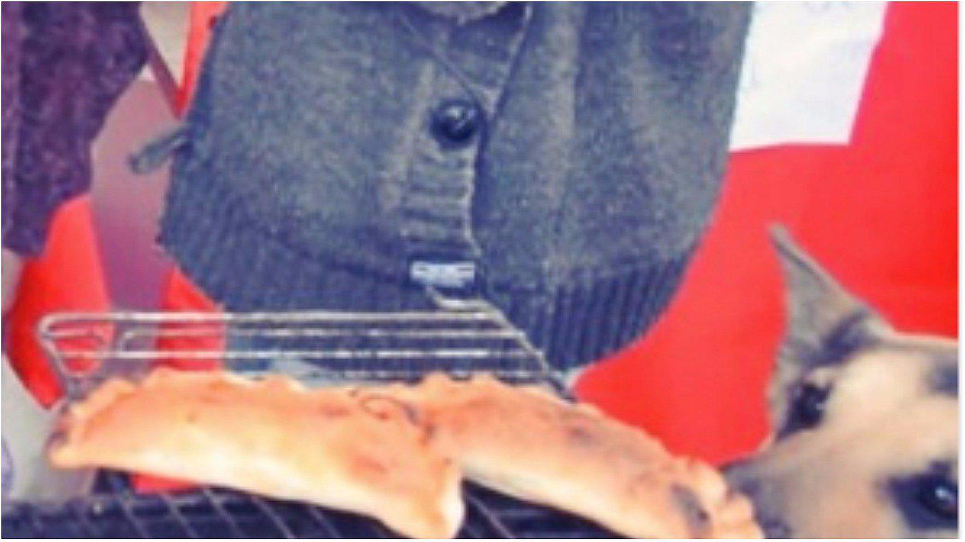 Youtube: perrito se vuelve viral al robarse una empanada durante entrevista (VIDEO)