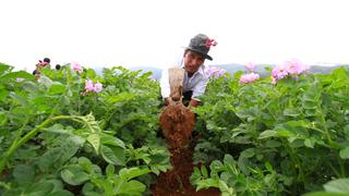 Seguridad alimentaria en jaque por falta de fertilizantes