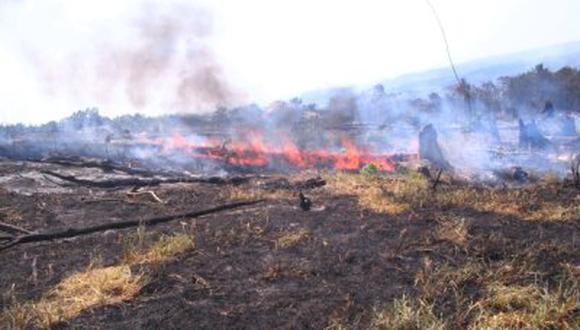 50 hectáreas de pasto se incendian en el Parque Nacional del Huascarán