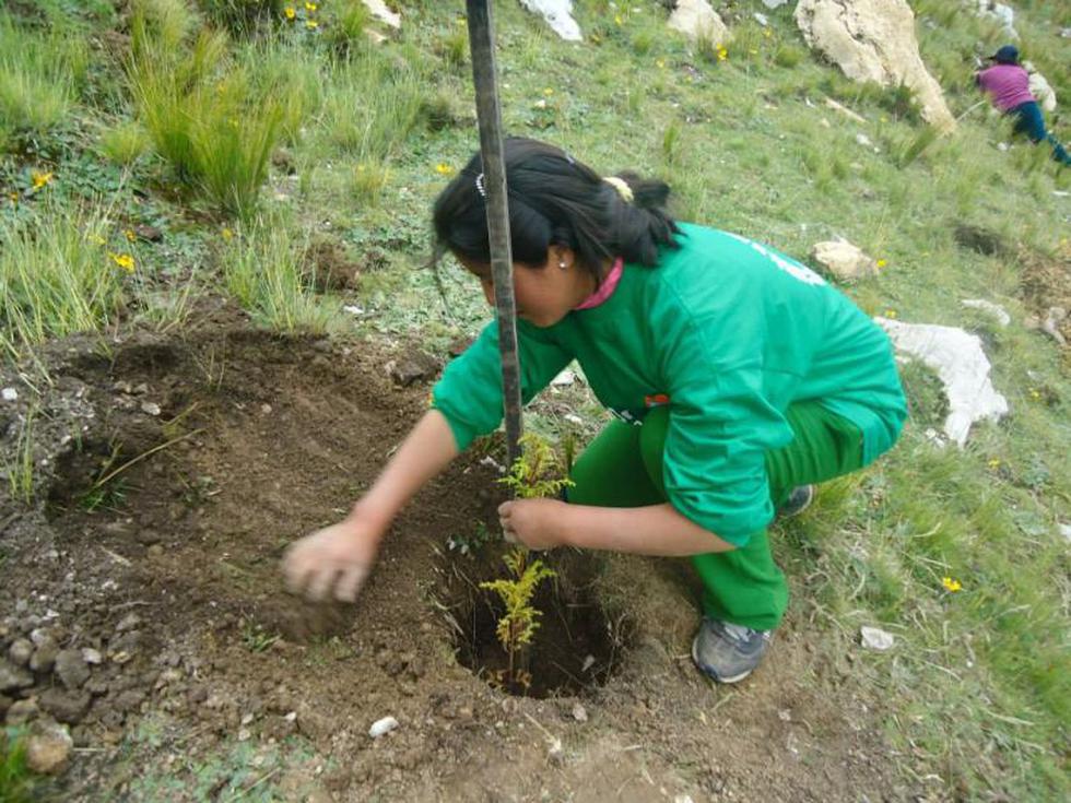 Comuneros y vecinos participan en campaña de reforestación de La Oroya