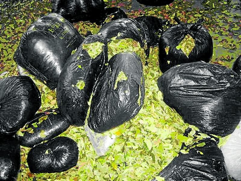 Decomisan 73 kilos de hoja de coca que iba de Pangoa a Huancayo 