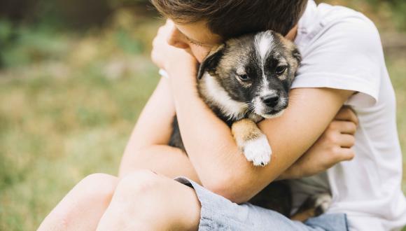 Tener una mascota en casa permite establecer vínculos afectivos, lo que genera un gran soporte emocional.